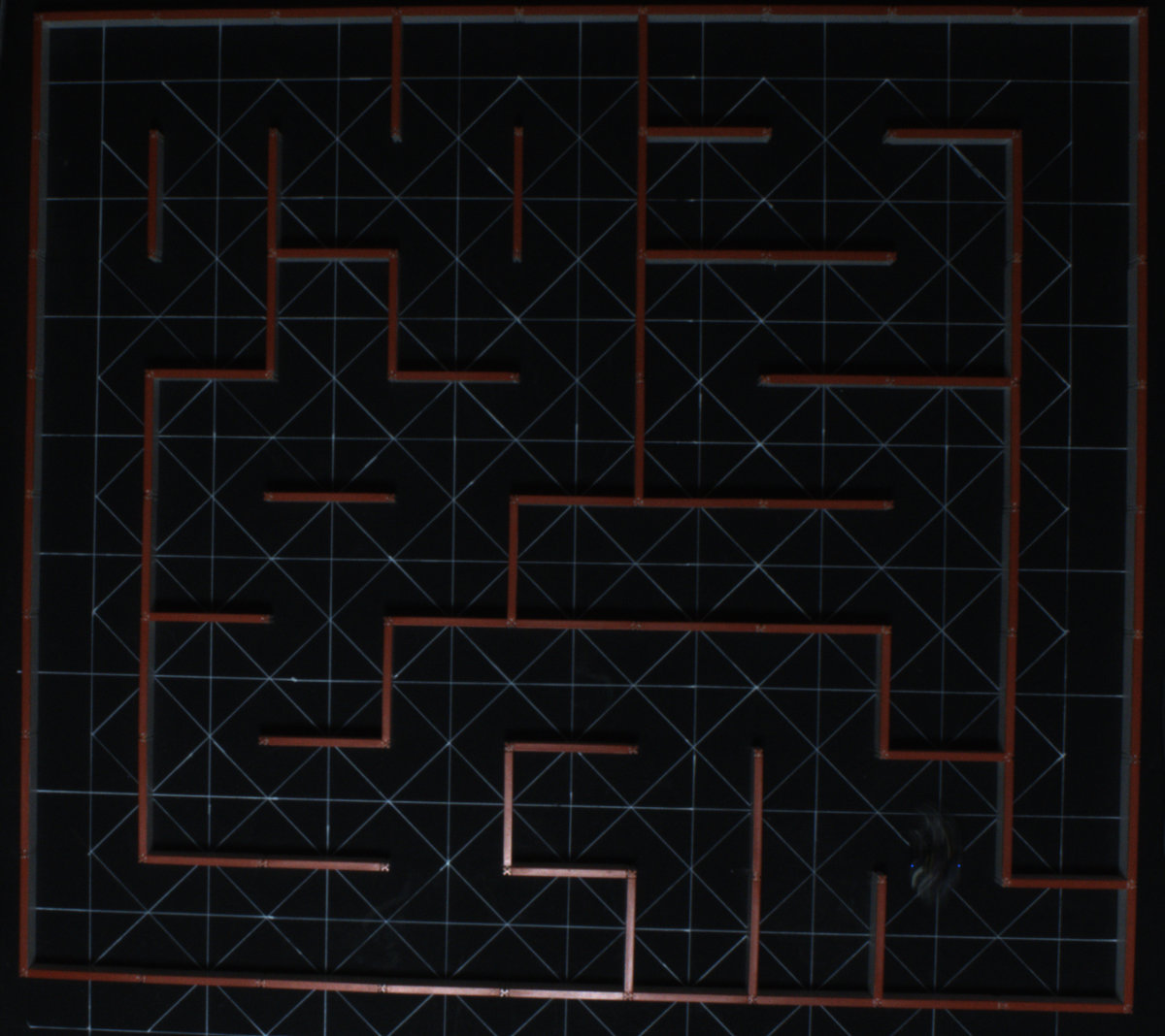 ストロボ発光を撮影したフレームの例